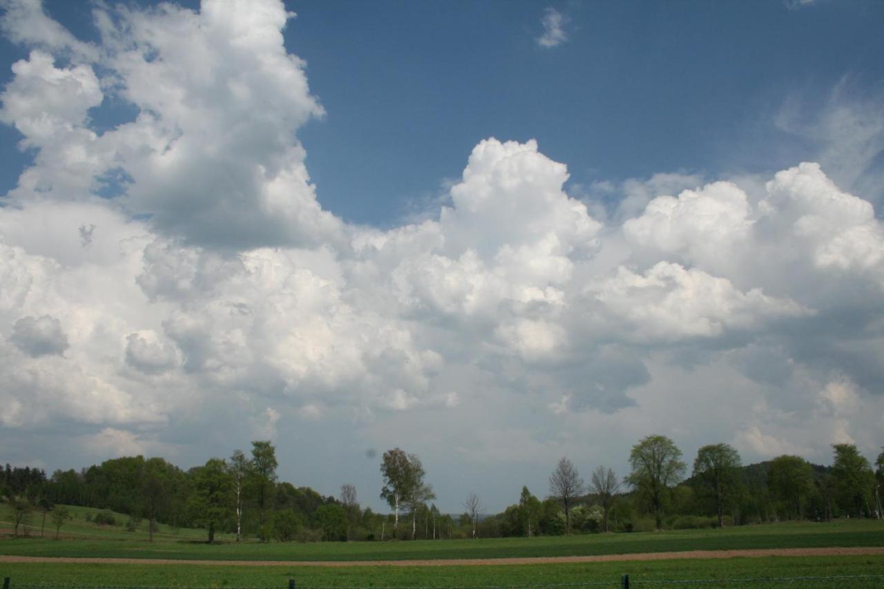 Domki I Pokoje Przy Ujsciu Solina  Exteriér fotografie